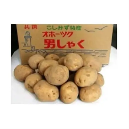 北海道小清水町産 男爵いも10kg ほくほく食感 産地直送【1763224】