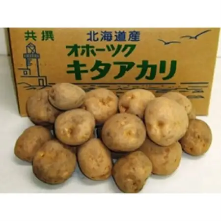 北海道小清水町産 北あかり10kg 甘み豊かな人気じゃがいも【1763226】