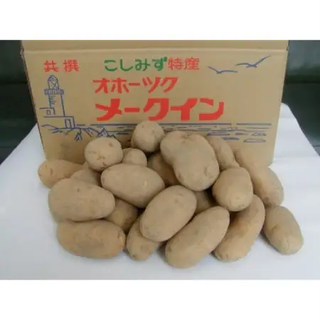 北海道小清水町産 メークイン10kg 煮崩れしにくいじゃがいも【1763284】