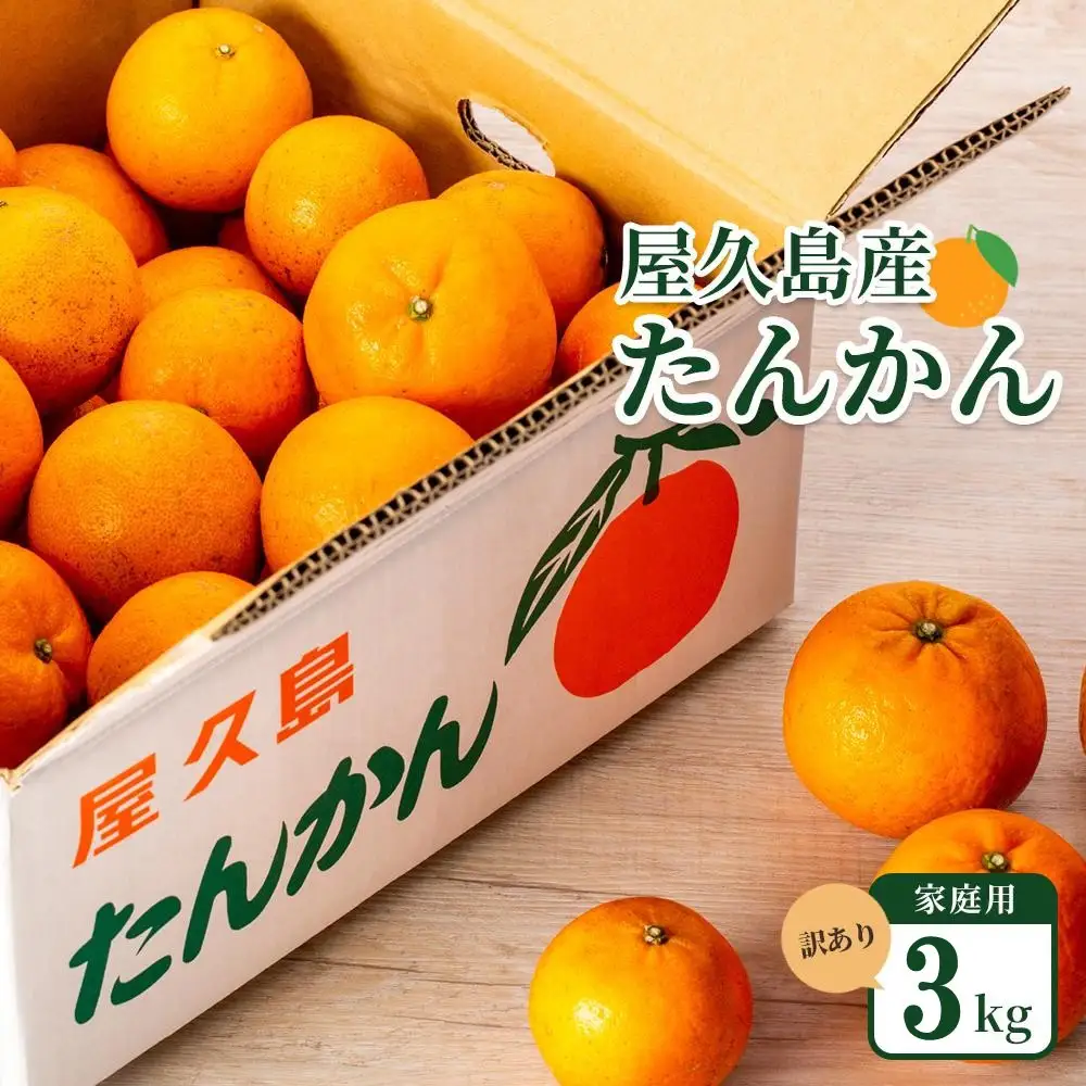 2027年発送 屋久島産たんかん 家庭用 訳あり 約3kg(S～2Lサイズ・少々キズあり)＜先行予約／数量限定＞