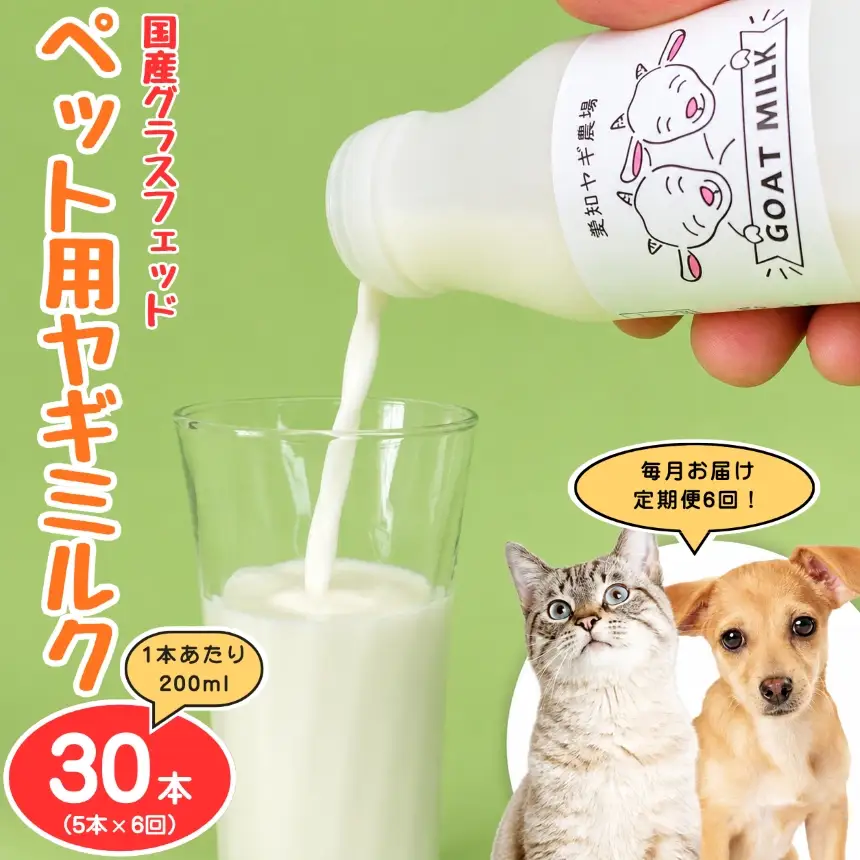 【定期便6回】国産グラスフェッド【ペット用】ヤギミルク200ml×5本（愛知ヤギ農場産）