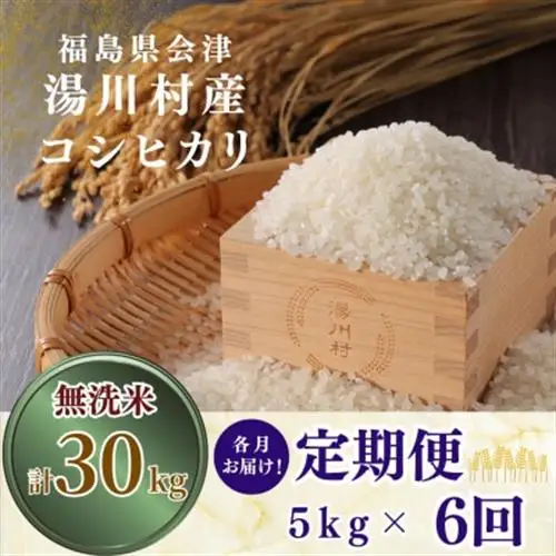 【発送月固定定期便】湯川村産コシヒカリ【無洗米】5kg(R8.11・R9.1・3・5・7・9)全6回【4091544】