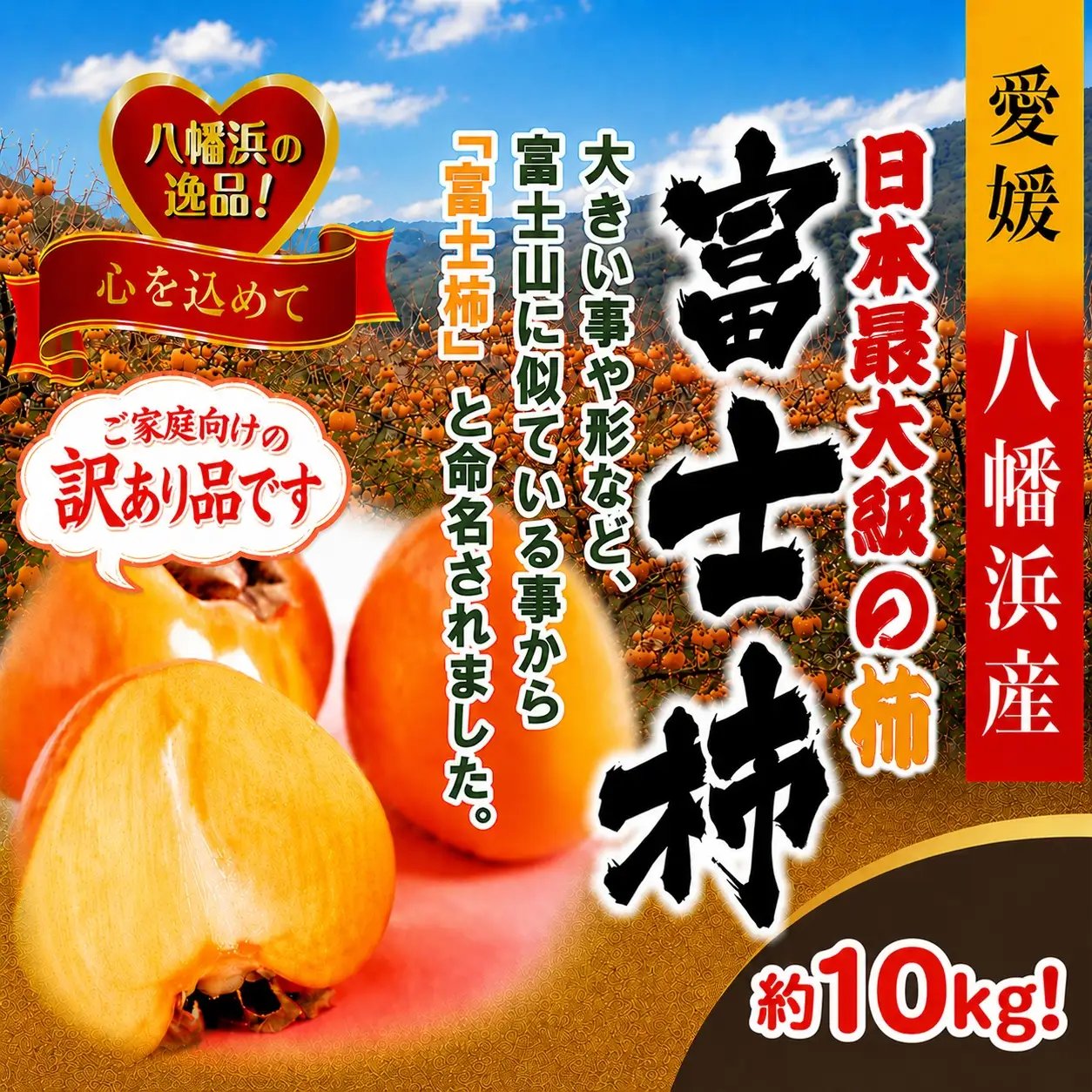 【先行受付】【訳あり品です】甘さにニッコリ・なめらか食感！日本最大級の柿！「富士柿」約10キロ【39-89】YWTF064