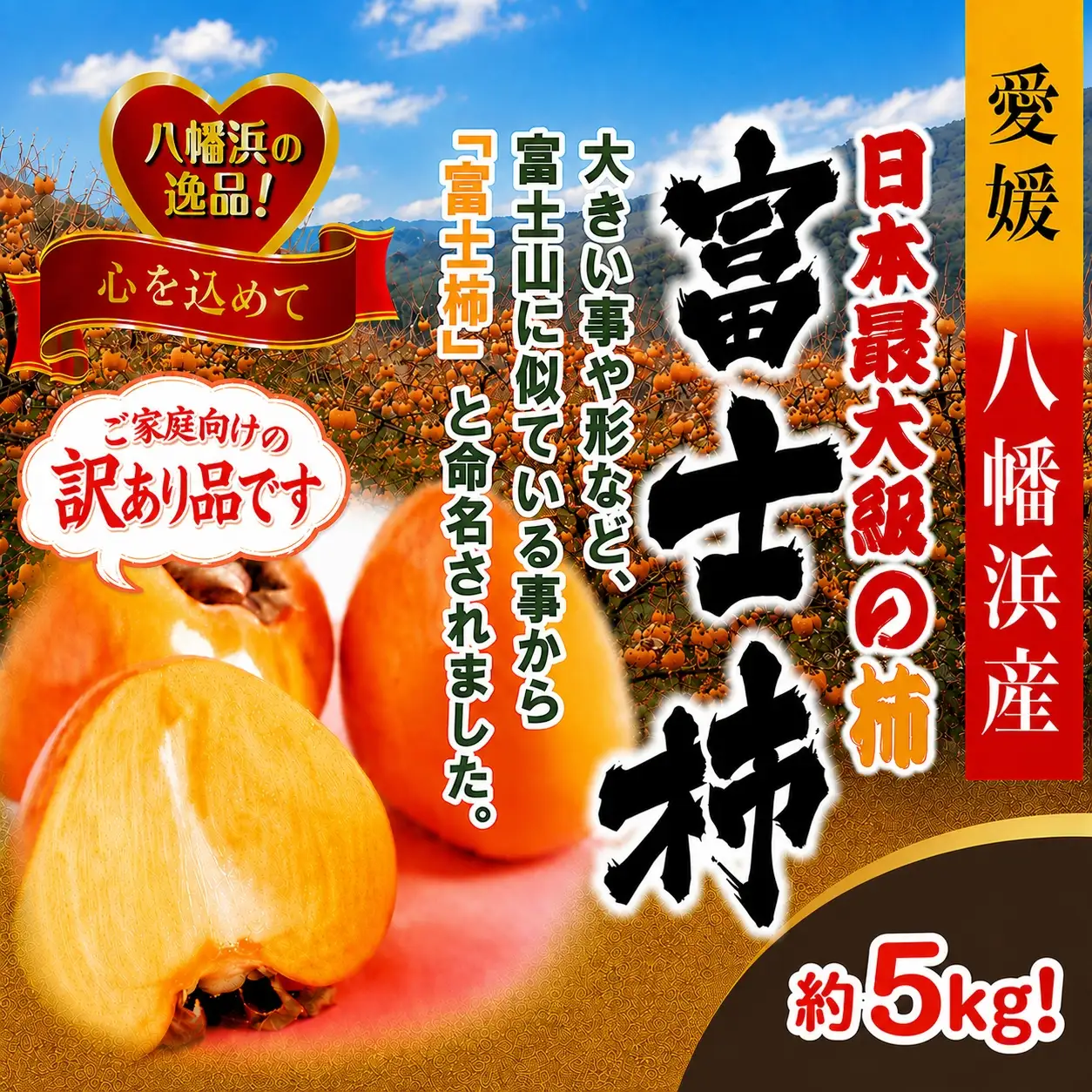 【先行受付】【訳あり品です】甘さにニッコリ・なめらか食感！日本最大級の柿！「富士柿」約５キロ【39-90】YWTF065