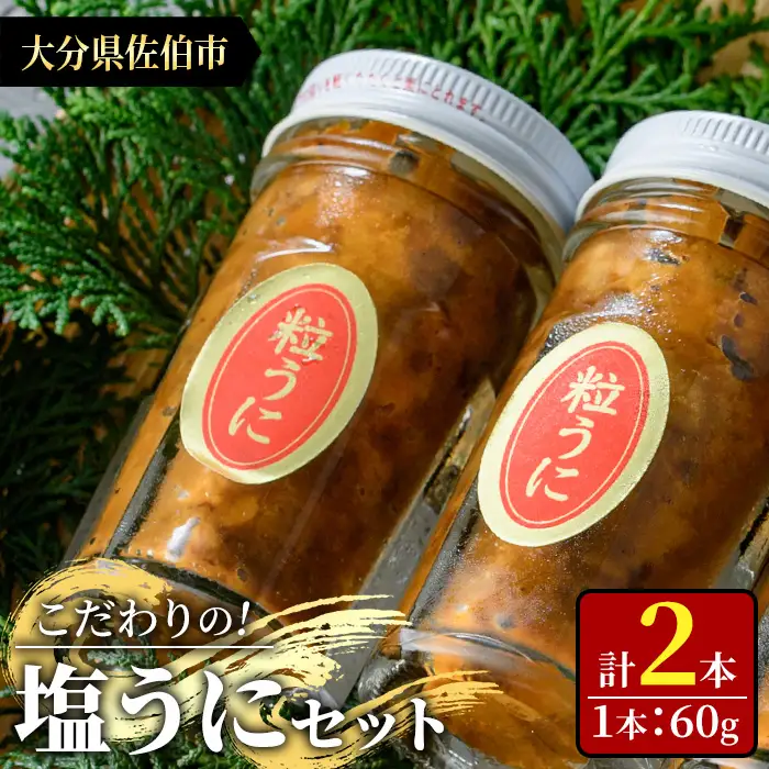 こだわりの塩うにセット(60g×2本)うに ウニ 雲丹 塩うに 冷凍 海の直売所 大分県 佐伯市【AS162】【海べ】
