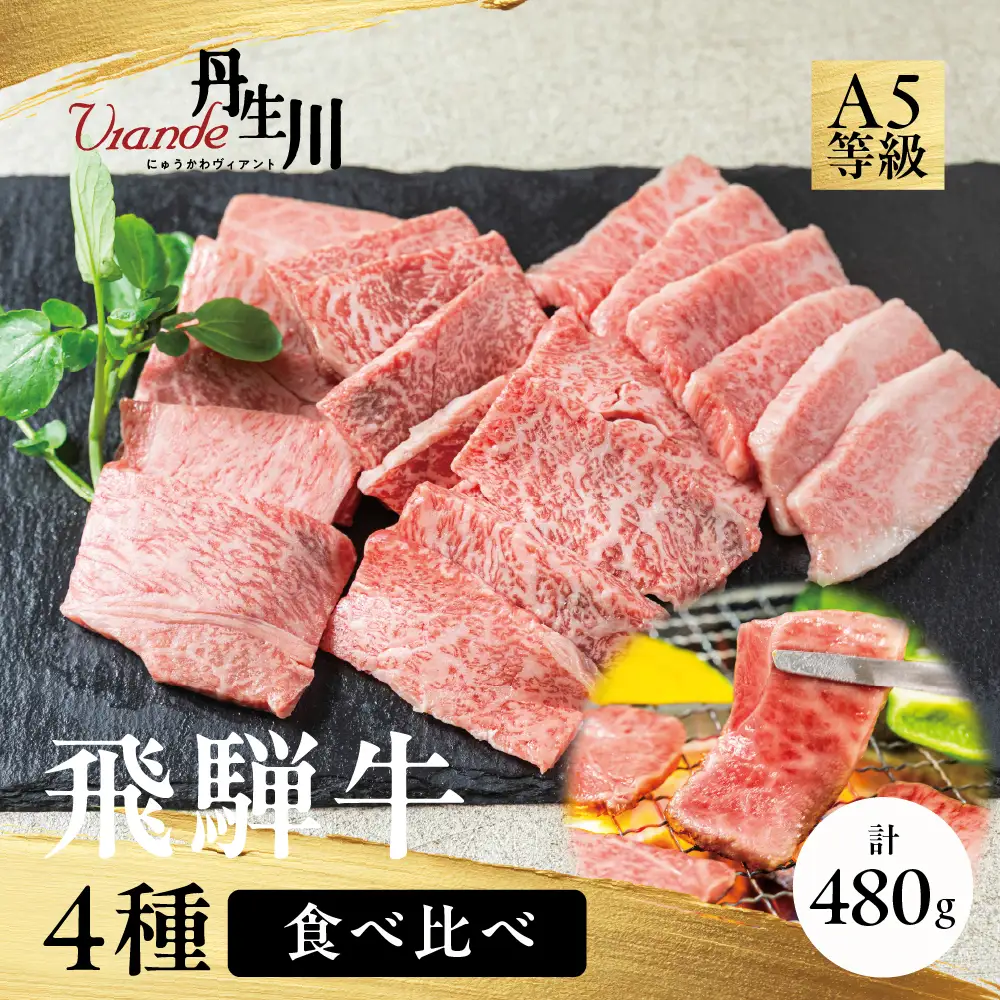 4種食べ比べ！飛騨牛 A5等級 焼肉 480ｇ | 黒毛和牛 牛肉 焼肉セット ブランド牛 希少部位 冷凍牛肉 個包装 焼肉 丹生川精肉 JJ012