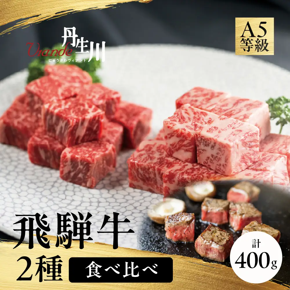 2種食べ比べ！飛騨牛 A5等級 サイコロステーキ サーロイン 200ｇ 赤身 もも 200ｇ | 牛肉 飛騨牛 ブランド牛 国産 赤身 ステーキ サーロイン 丹生川精肉 JJ017