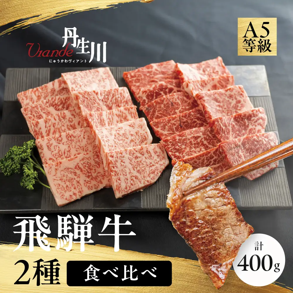 2種食べ比べ！ 飛騨牛 A5等級 焼肉 サーロイン 200ｇ もも 赤身 200ｇ | 牛肉 飛騨牛 ブランド牛 国産 赤身 サーロイン 焼肉 バーベキュー アウトドア 丹生川精肉 JJ018