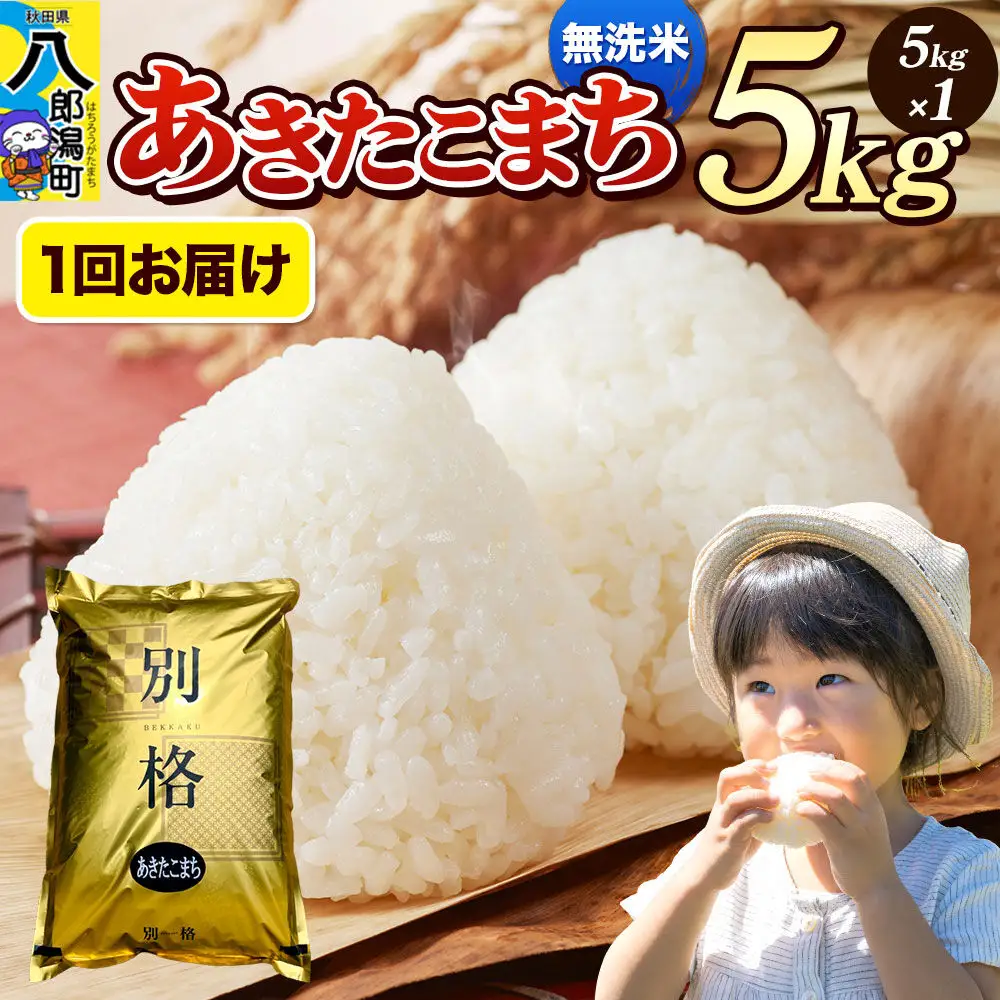《令和8年産 新米》米 あきたこまち 5kg【無洗米】秋田県産