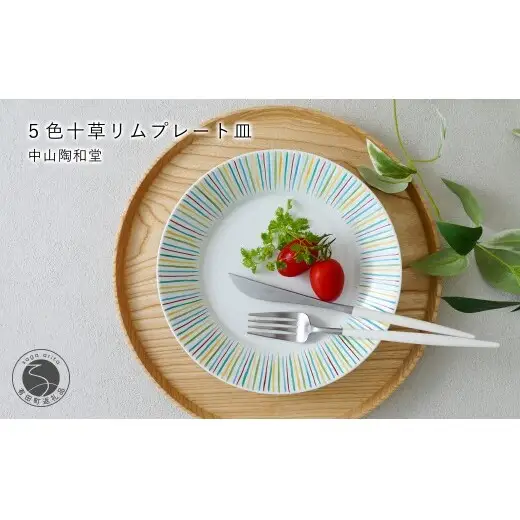 有田焼 5色十草 リムプレート皿 21cm【中山陶和堂】 食器 うつわ 器 プレート 皿 かわいい カラフル bv015
