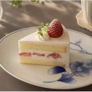 有田焼 華山窯 胡蝶蘭 楕円トレー 皿 2枚 セット【東洋セラミックス】 食器 器 うつわ プレート 幸福 お皿 au038