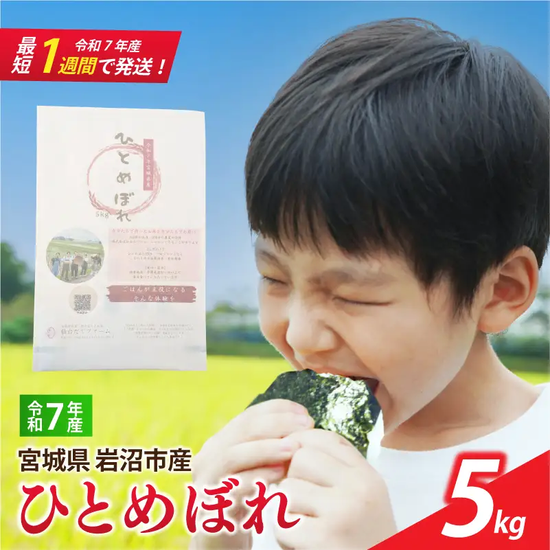 米 宮城県産 ひとめぼれ 5kg 精米
