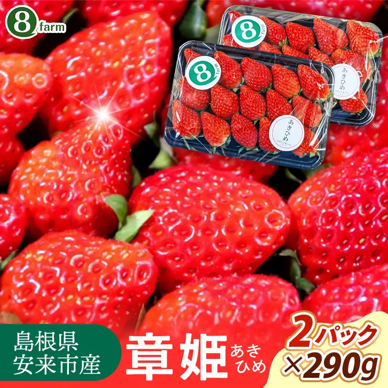 【先行予約】 章姫 2パック 【 約290g×2パック あきひめ イチゴ いちご 苺 ストロベリー 冷蔵 安来市産】【10-FA-08】