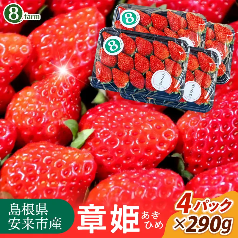【先行予約】 章姫 4パック 【 約290g×4パック あきひめ イチゴ いちご 苺 ストロベリー 冷蔵 安来市産】【16-FA-09】