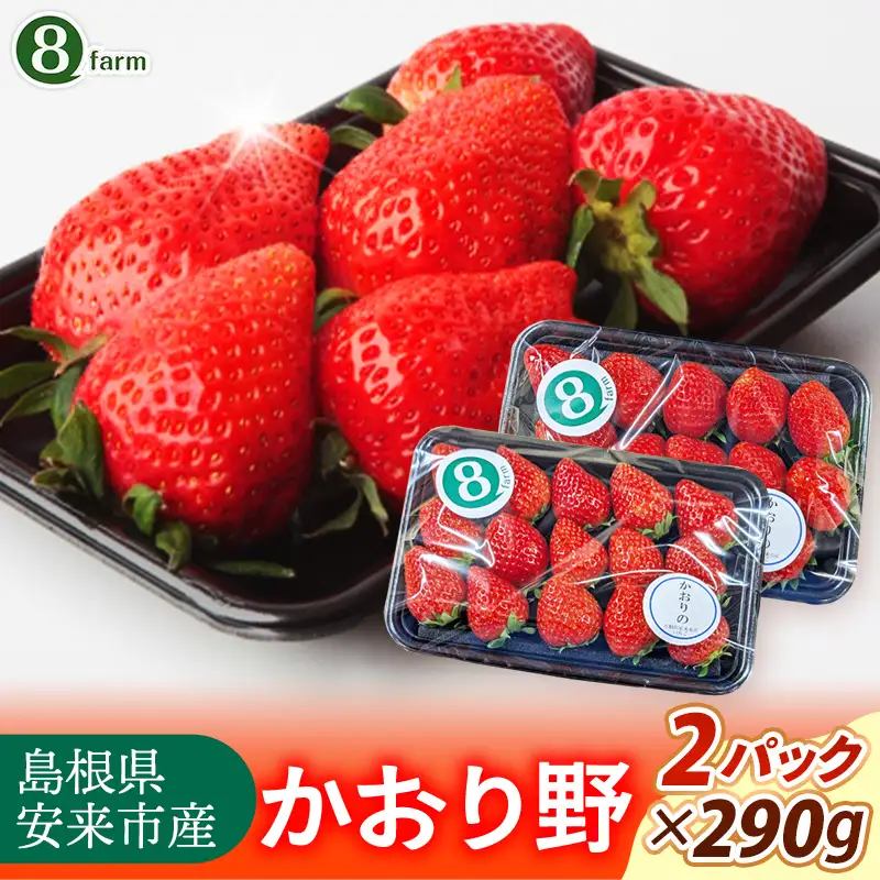 【先行予約】 かおり野 2パック 【 約290g×2パック かおりの イチゴ いちご 苺 ストロベリー 冷蔵 安来市産】【10-FA-10】