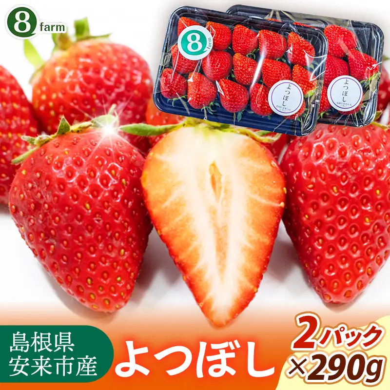 【先行予約】 よつぼし 2パック 【 約290g×2パック 四つ星 イチゴ いちご 苺 ストロベリー 冷蔵 安来市産】【10-FA-12】