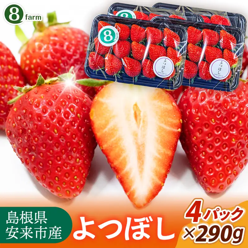 【先行予約】 よつぼし 4パック 【 約290g×4パック 四つ星 イチゴ いちご 苺 ストロベリー 冷蔵 安来市産】【16-FA-13】