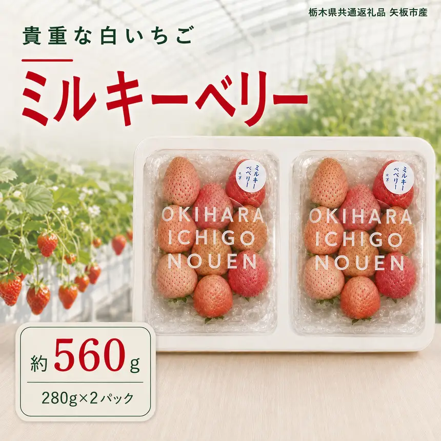澳原さんの「ミルキーベリー」 560g (280g×2P)| 栃木県共通返礼品 矢板市産 いちご 果物 フルーツ 栃木県下野市