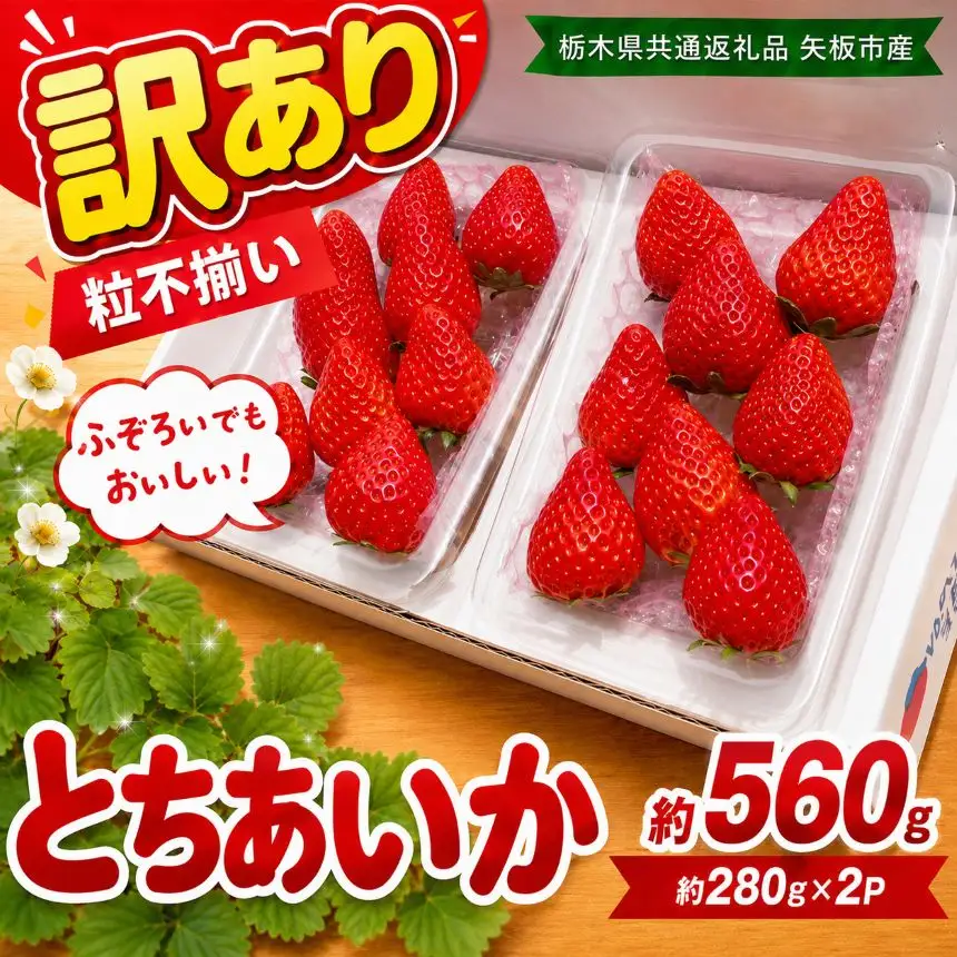 訳あり 粒不揃い とちあいか 560g (280g×2P) | 栃木県共通返礼品 矢板市産 いちご 果物 フルーツ 栃木県下野市