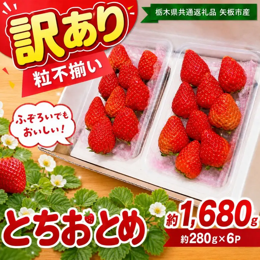 訳あり 粒不揃い とちおとめ 1,680g (280g×6P) | 栃木県共通返礼品 矢板市産 いちご 果物 フルーツ 栃木県下野市