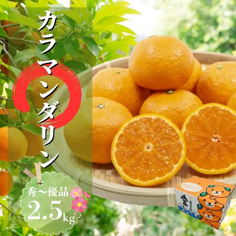 カラマンダリン 秀~優品 2.5kg