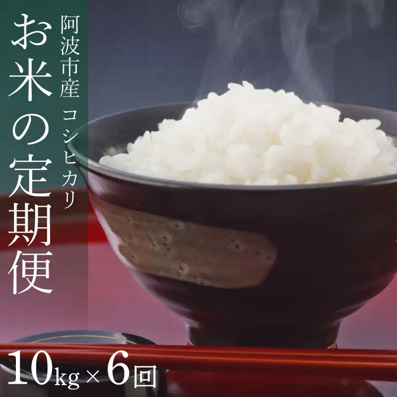 コシヒカリ 定期便 6回 10kg 令和8年産 【 米 】