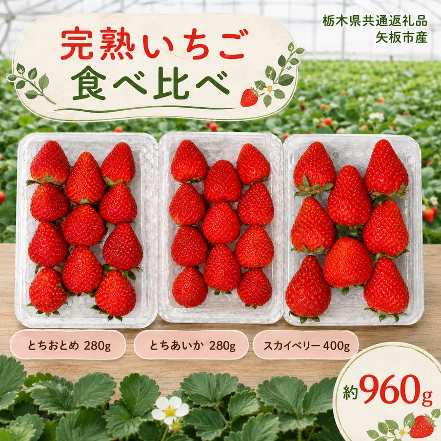 いちご3品種 食べ比べセット 960g(とちあいか・スカイベリー・とちおとめ)栃木県共通返礼品 矢板市産 いちご 果物 フルーツ 栃木県下野市