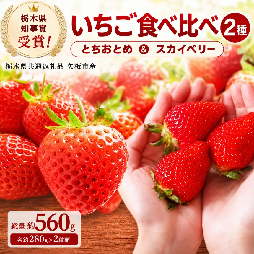 澳原さんの いちご2種類食べ比べ 560g（スカイベリー280g・とちおとめ280g）栃木県共通返礼品 矢板市産 栃木県下野市