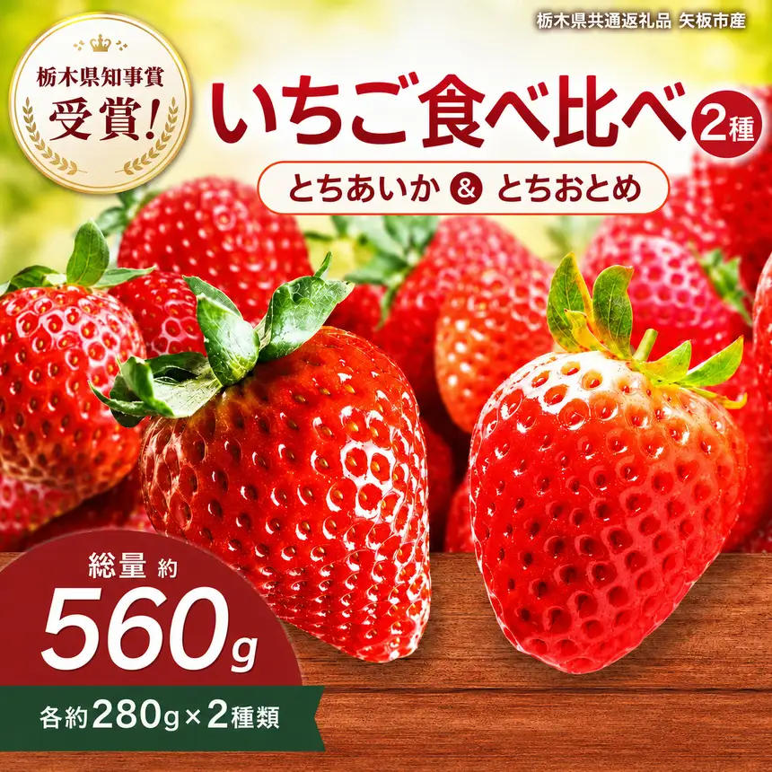 澳原さんの いちご2種類食べ比べ 560g（とちあいか280g・とちおとめ280g）栃木県共通返礼品 矢板市産 栃木県下野市