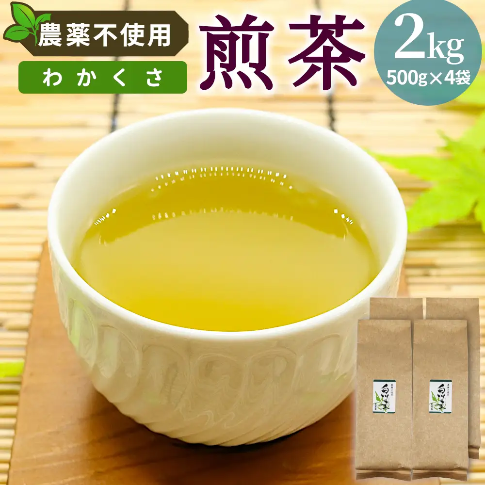 農薬不使用！煎茶 わかくさ 2kg 常磐園 白川茶 美濃白川茶 日本茶 緑茶 煎茶 茶葉 お茶 二番茶 春摘み リーフ 国産 大容量 岐阜県 東白川村 家庭用 事務所用