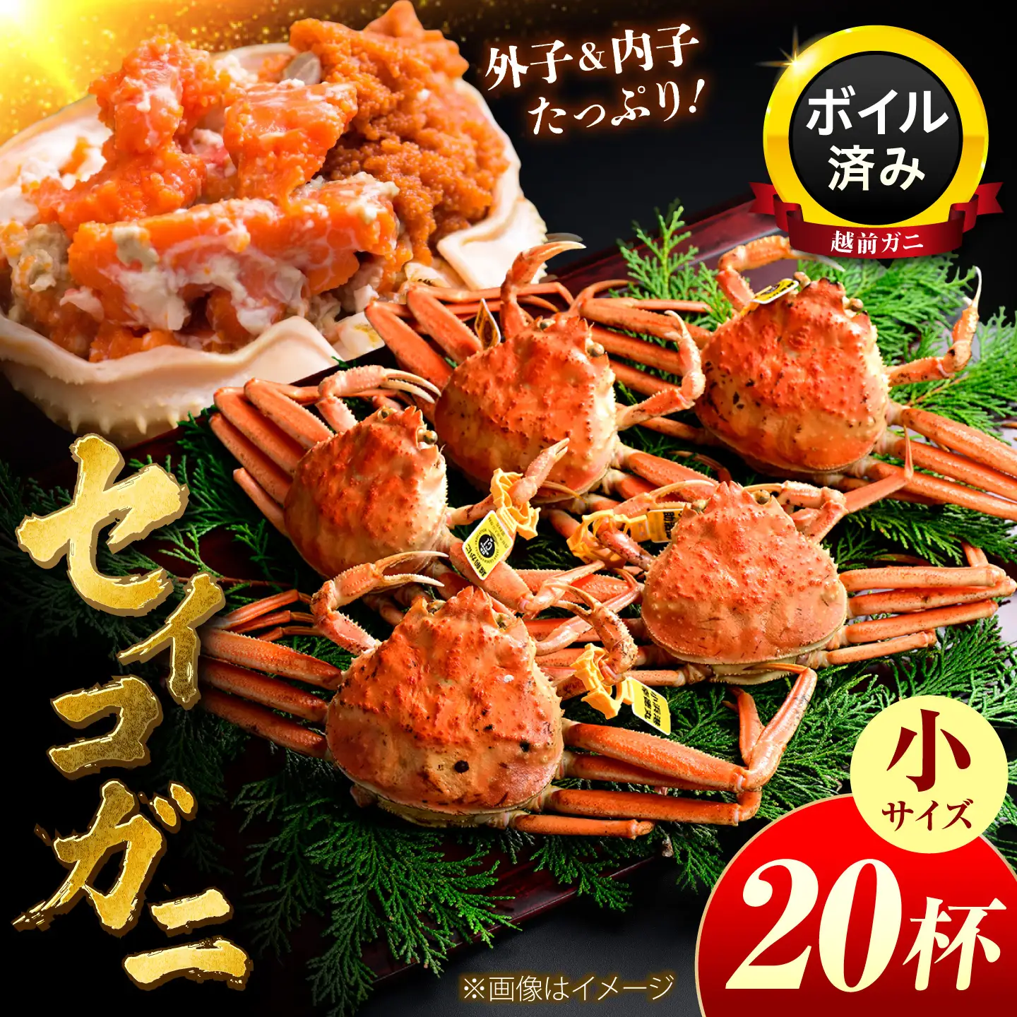 【先行予約/11月7日より順次発送】セイコガニ（ズワイガニのメス）小サイズ 20ハイ / 越前ガニ コッペガニ せいこ蟹 ボイル 小浜市 / まるほ商店 【配送不可地域：北海道・沖縄・離島】[BFCS077]
