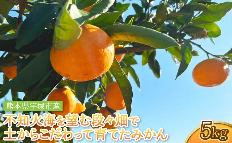 令和8年熊本地震復興支援 不知火海を望む段々畑で、土からこだわって育てたみかん 約5kg【2026年10月上旬～2027年2月下旬頃順次発送予定】