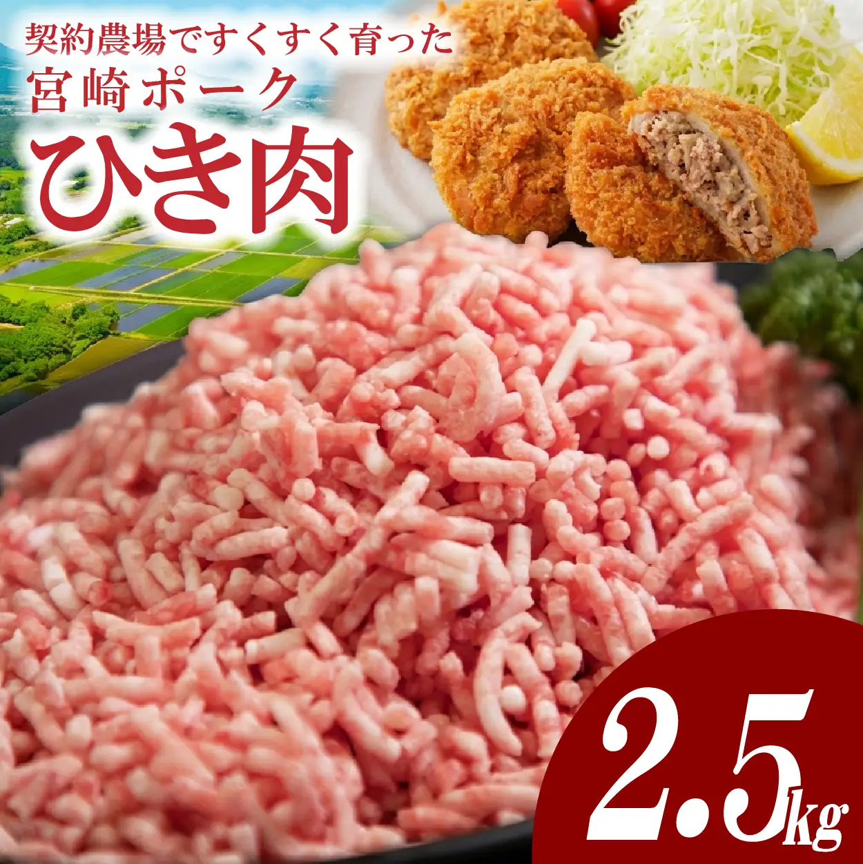 ひき肉 【産地直送・個包装】契約農場ですくすく育った宮崎ポークひき肉　2.5kg