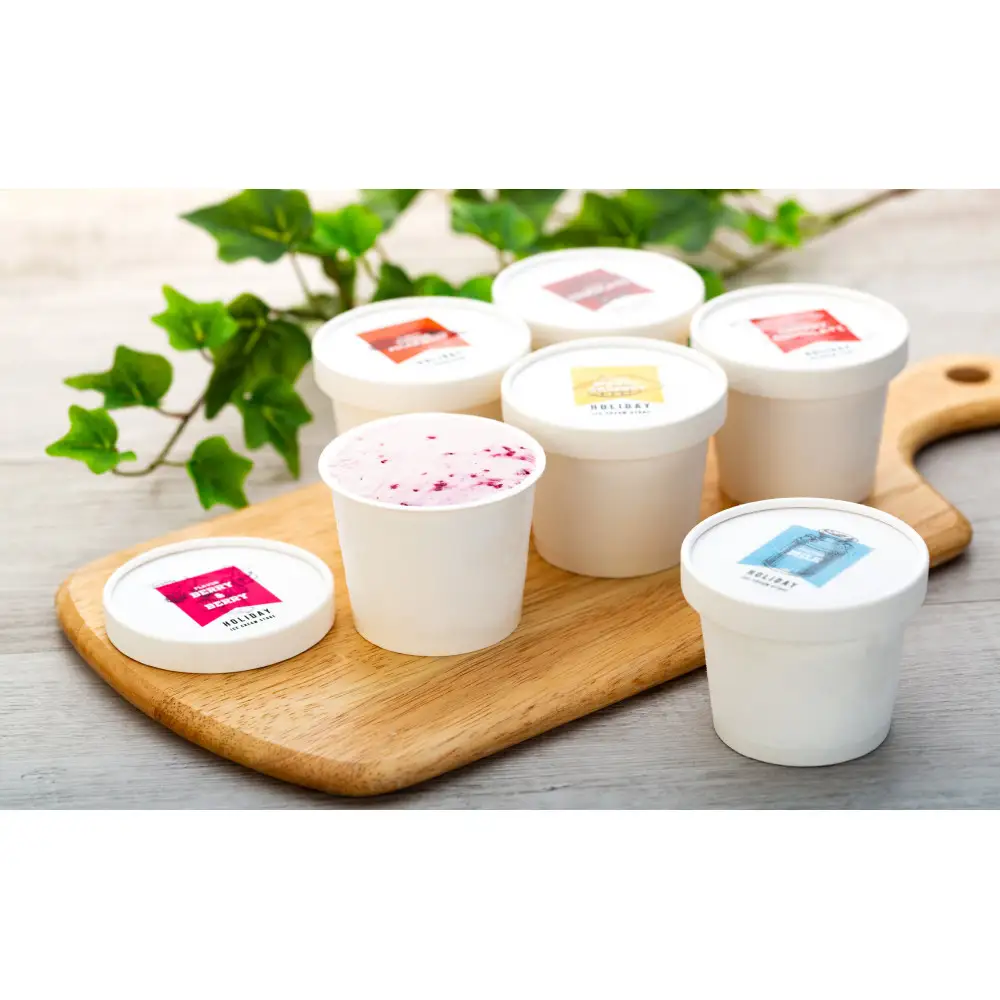 【夏ギフトにも！】クラフトアイスクリーム HOLIDAY ICE CREAM STORE CLASSICS 132ml×12個セット