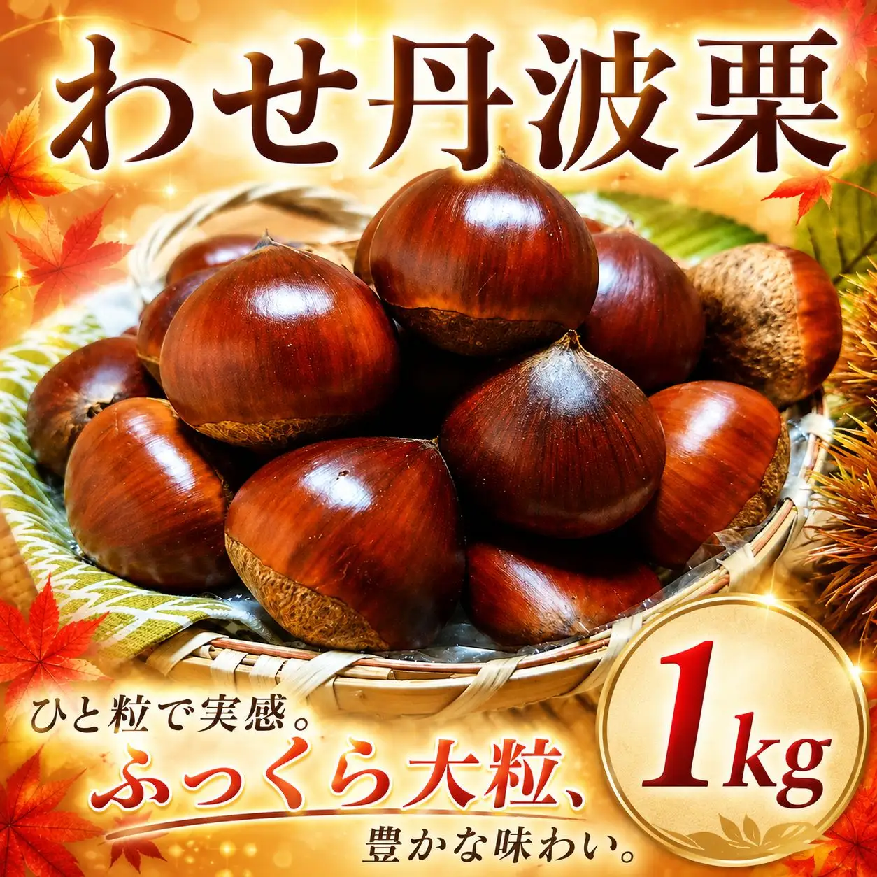 《期間限定》わせ丹波栗【大粒】1kg 栗