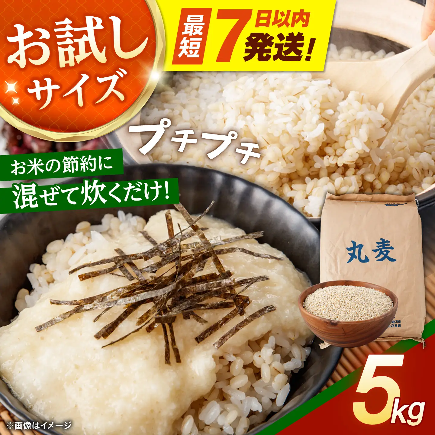 【7日以内に発送】長崎県産 丸麦 5kg / 麦 むぎ 雑穀 雑穀米 麦ごはん 麦飯 麦みそ 食物繊維 / 諫早市 / 有限会社伊東精麦[AHBU019]