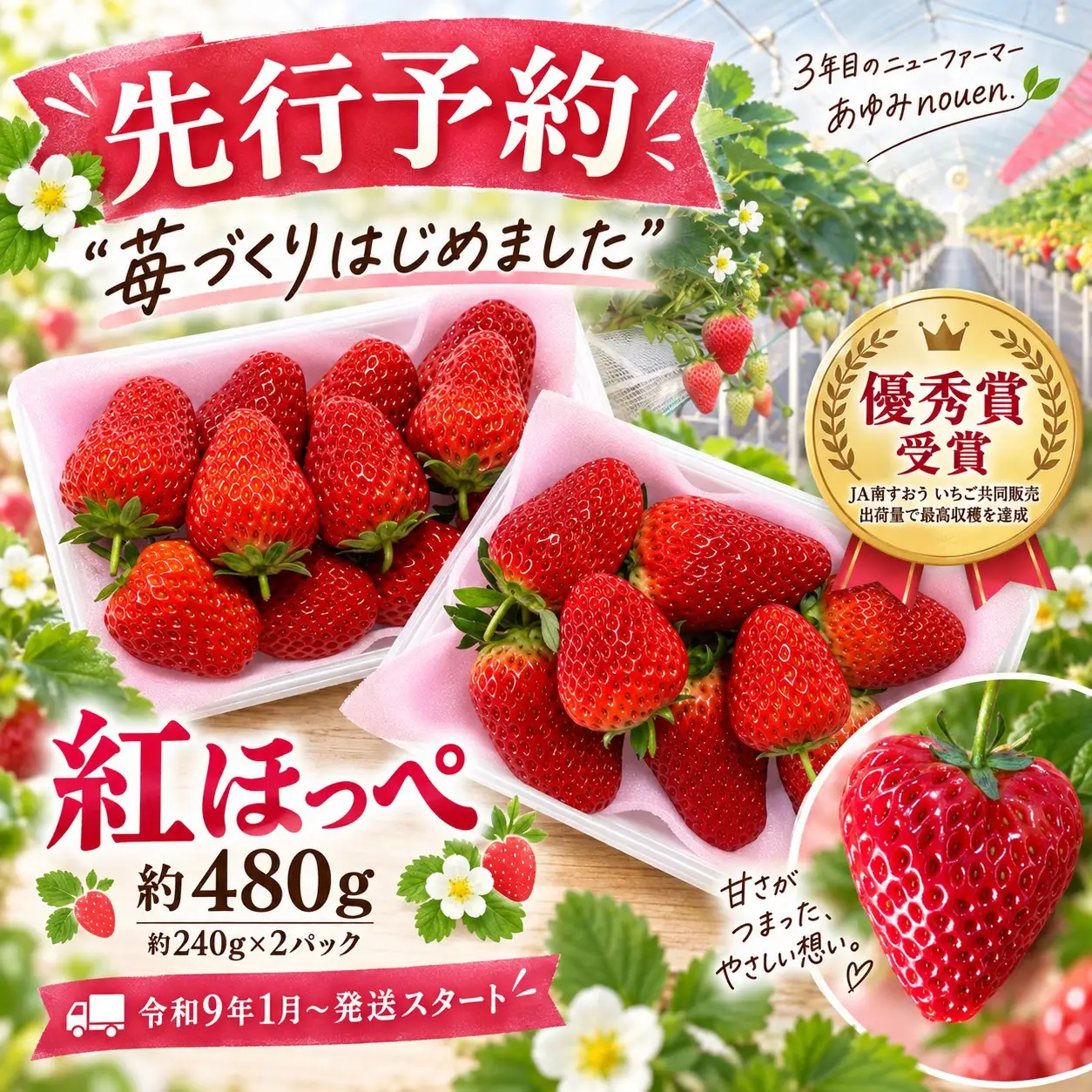 【令和8年度先行予約】【年明け発送】“苺づくりはじめました”紅ほっぺ 約480g【約240g×2パック】