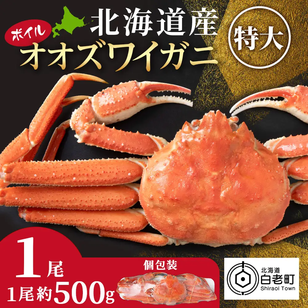 北海道産 大ズワイ＜特大＞500g×1尾 オオズワイ 蟹 かに カニ ボイル AM211