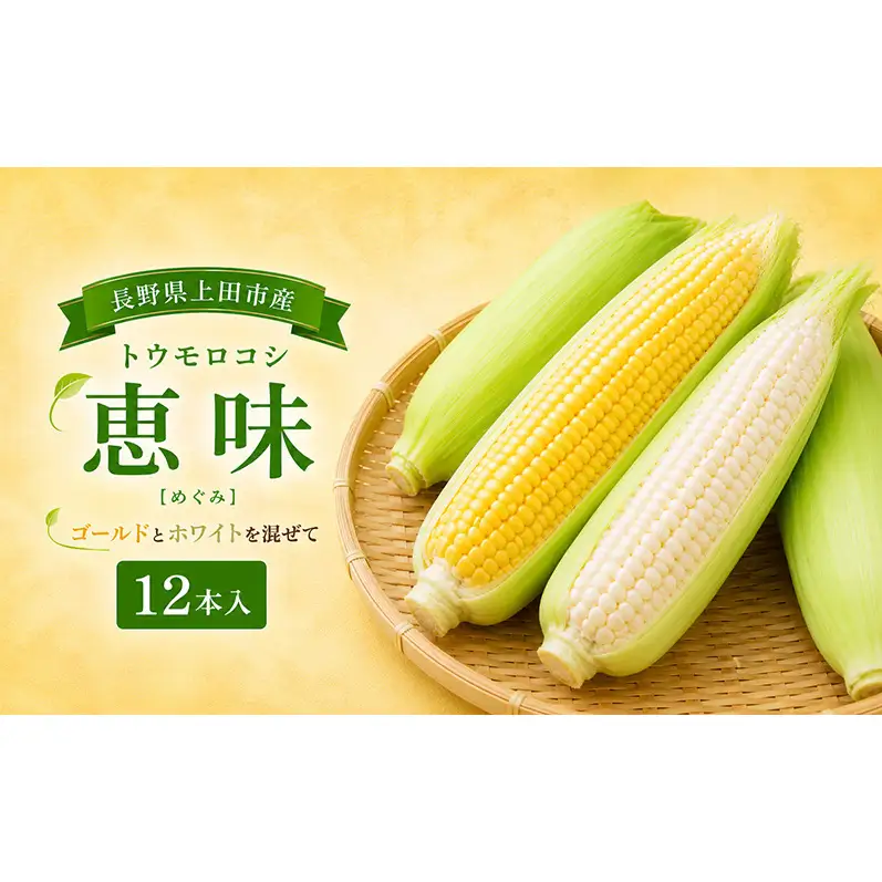 トウモロコシ　12本入　(恵味) とうもろこし ゴールド ホワイト 野菜 信州 長野 上田市