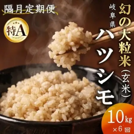 【2ヵ月毎定期便】岐阜県産ハツシモ(玄米)10kg全6回【配送不可地域：離島】【4091586】