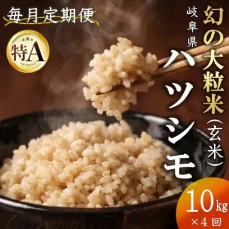 【毎月定期便】岐阜県産ハツシモ(玄米)10kg全4回【配送不可地域：離島】【4091599】