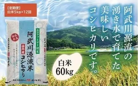 A127 【定期便】阿武川源流米コシヒカリ白米60㎏(5kg×12回)