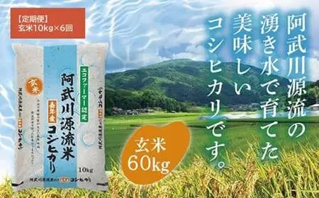 A128【定期便】阿武川源流米コシヒカリ玄米60㎏(10kg×6回)
