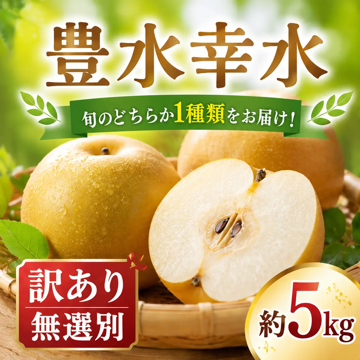 訳あり 梨 豊水 幸水 約5kg なし 梨 