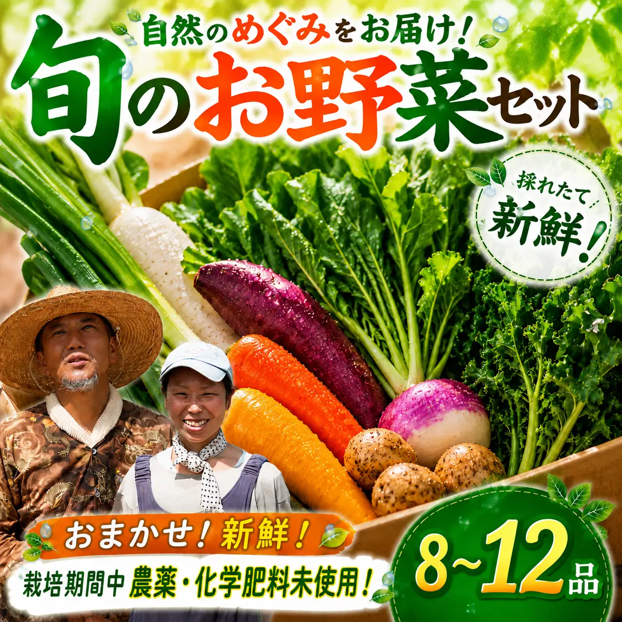 【千葉県香取市】旬の「季節の野菜セット」【詰め合わせ】【WGS002】