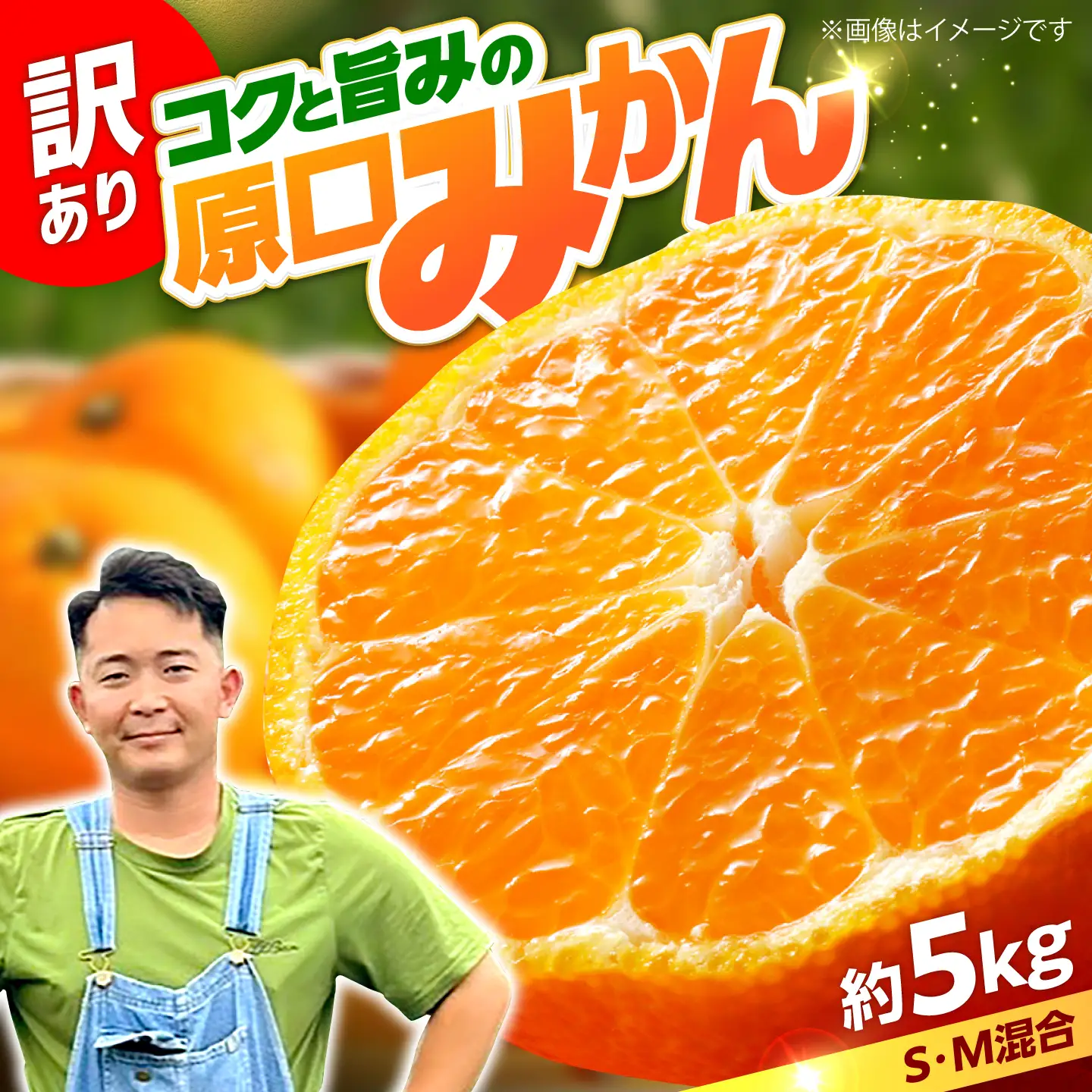 【数量限定】 【訳あり】 原口みかん 約5kg ＜田川農園＞[CGR002]