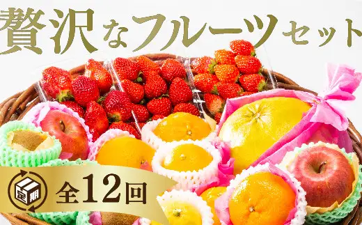 A130 ご褒美＊フルーツ定期便（12回）
