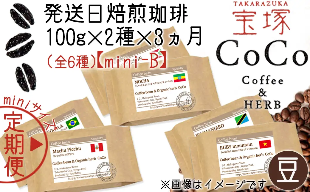 【宝塚】3ヶ月定期便miniB(発送日自家焙煎珈琲豆・全6種 計600g)【豆】