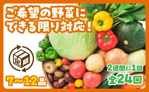 A131 わがままお野菜定期便（24回）