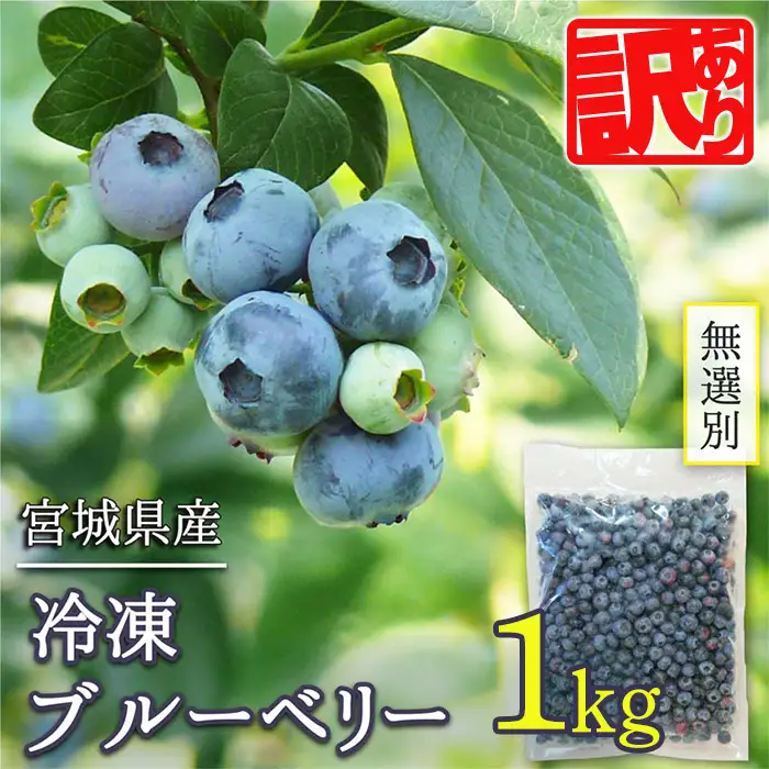 ≪ 訳あり≫ 無選別 冷凍ブルーベリー 1kg ブルーベリー 果物 フルーツ 朝食 ヨーグルト スムージー 健康 訳アリ 【有限会社伊豆沼農産】tm784